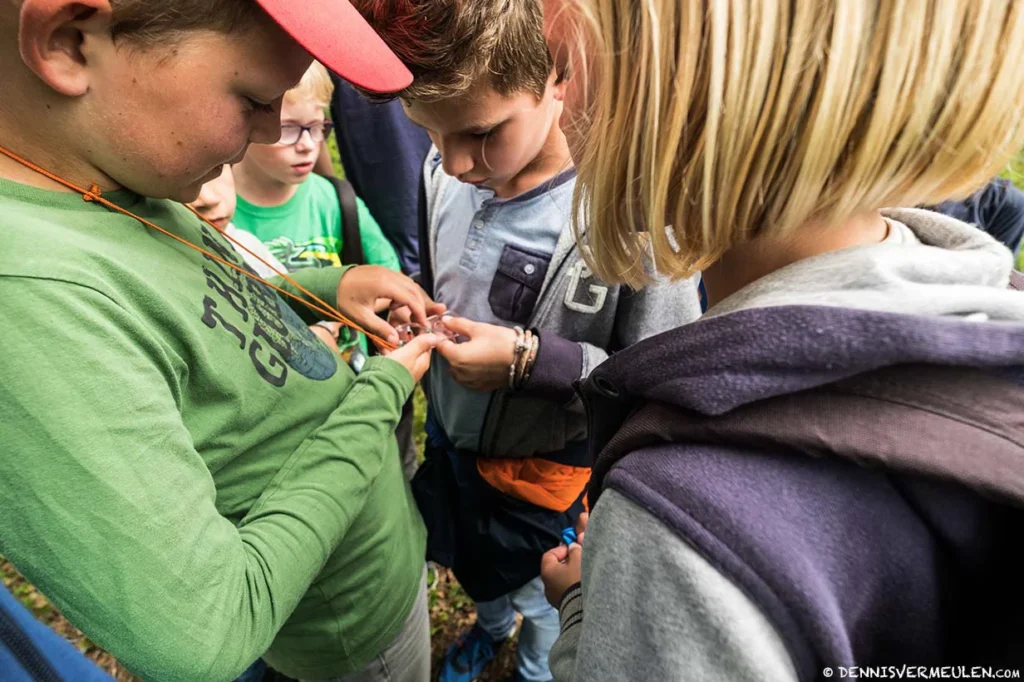 Yttermalung Camping Wild Kids Adventure